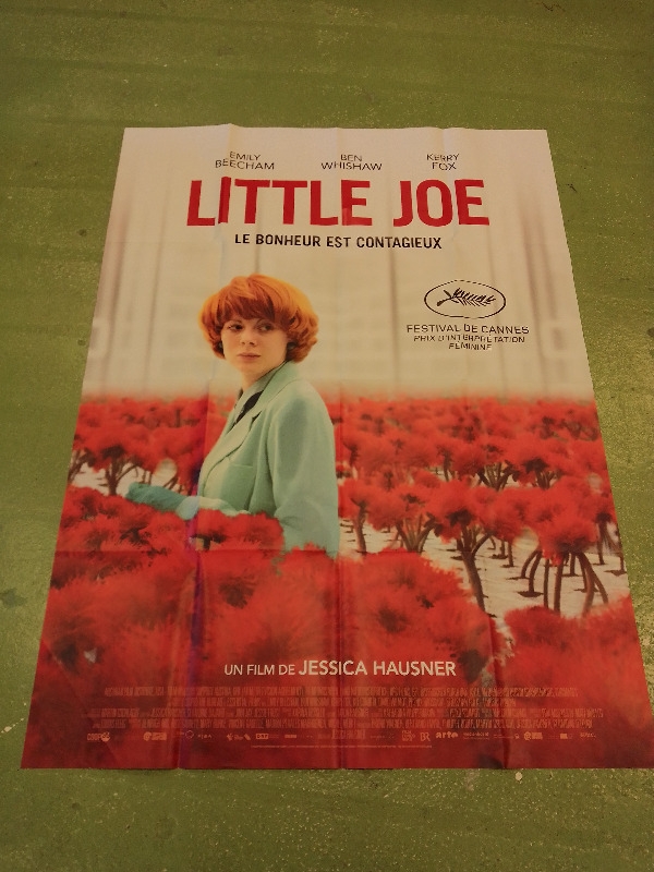Affiches de cinema