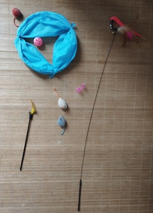 Jouets pour chat : tunnel, p